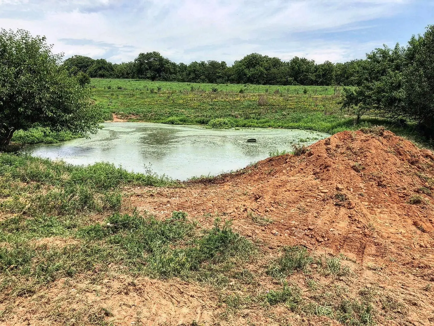 mounded dirt beside a small pond with green algae surrounded by grassy field and scattered trees